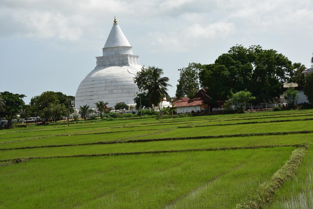 K Holiday ทิซซามาฮารามา ภายนอก รูปภาพ